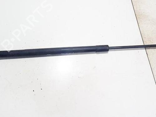 tailgate-lift-support-opel-antara-a-l07-2006-2007-2008-2009-2010-2011-2012-2013-2014-2015-2016-2017-35863713 main image