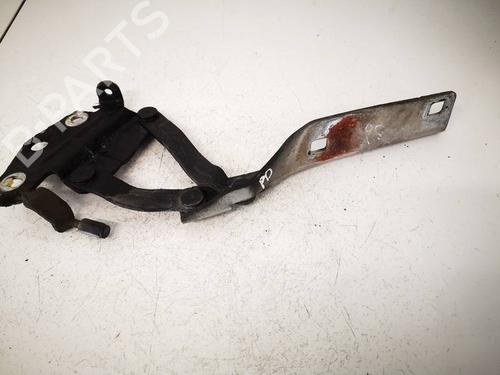 Used Hinge/Door check strap Hinge/Door check strap VW PASSAT B6 (3C2) 2.0 TDI (140 hp) 36368437 36368437