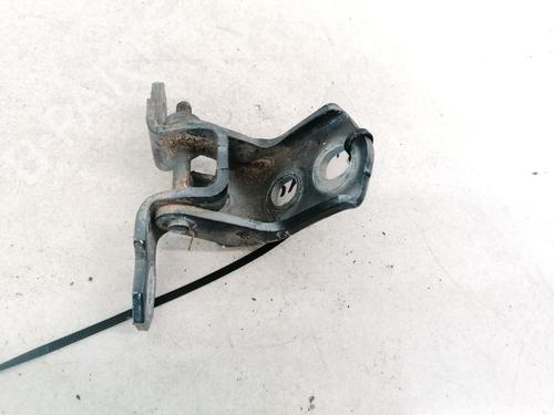 hingedoor-check-strap-renault-vel-satis-bj0_-2002-32885346 main image