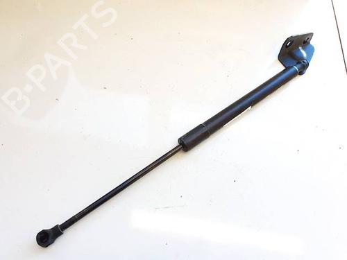 tailgate-lift-support-citroen-ds3-sa_-2009-2010-2011-2012-2013-2014-2015-2016-34963888 main image