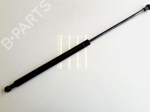 tailgate-lift-support-fiat-panda-169_-2003-35860316 main image
