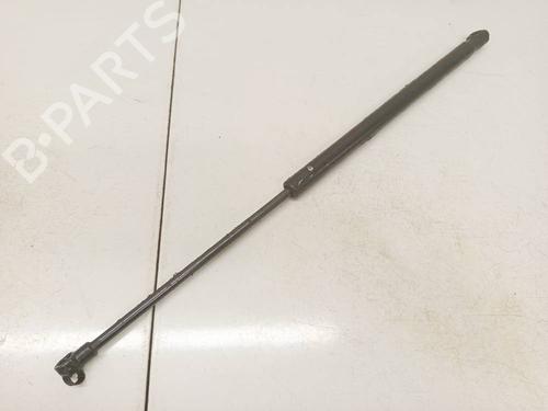 tailgate-lift-support-toyota-yaris-_p1_-1999-2000-2001-2002-2003-2004-2005-34748773 main image