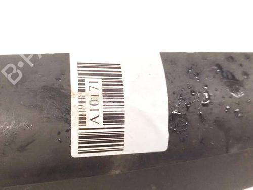 Third brake light SKODA SUPERB I (3U4) 1.9 TDI | BP35013087L11 - Image 2
