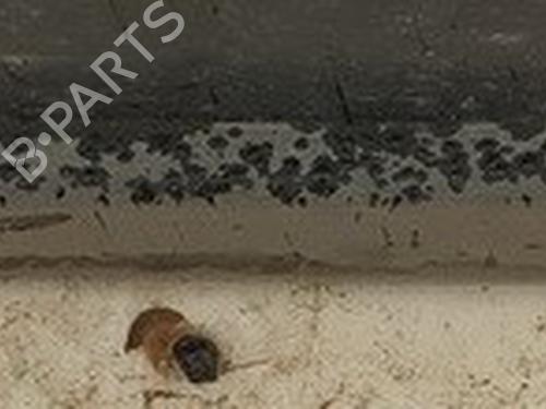rubber-door-seal-vw-passat-b5-variant-3b5-1997-1998-1999-2000-2001-35573509 main image