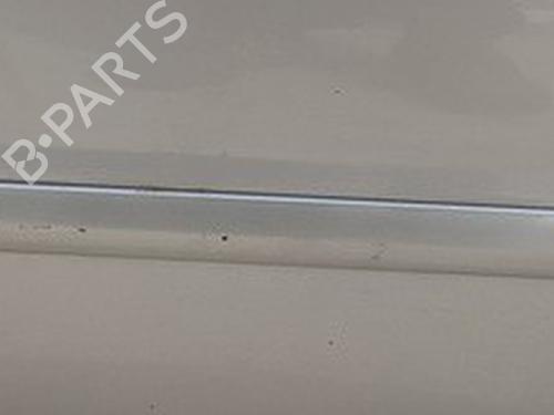 rubber-door-seal-opel-signum-hatchback-z03-2003-2004-2005-2006-2007-2008-35520608 main image