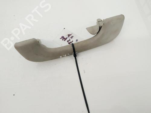 interior-roof-handle-renault-scenic-ii-jm01_-2003-2004-2005-2006-2007-2008-2009-2010-35493325 main image