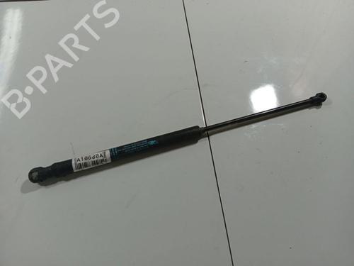 tailgate-lift-support-citroen-c4-i-lc_-2004-2005-2006-2007-2008-2009-2010-2011-2012-2013-2014-34920706 main image