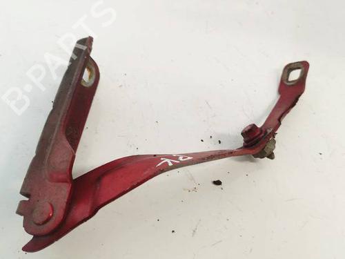 hingedoor-check-strap-dacia-sandero-ii-2012-37433569 main image