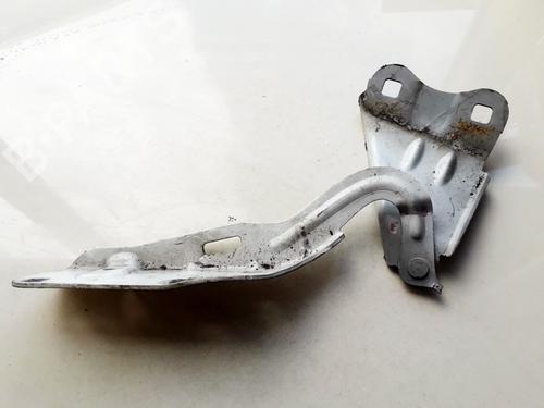 hingedoor-check-strap-renault-twingo-ii-cn0_-2007-35863164 main image