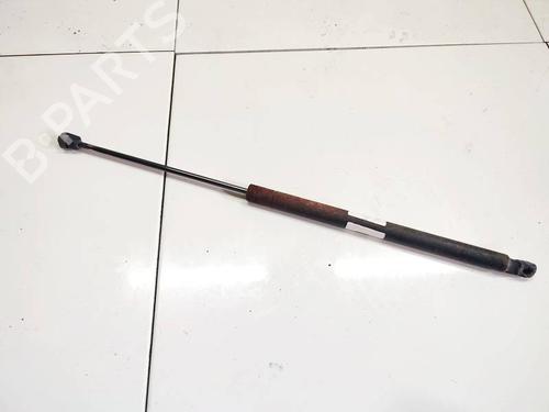 tailgate-lift-support-ford-s-max-wa6-2006-2007-2008-2009-2010-2011-2012-2013-2014-34993385 main image
