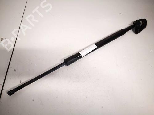 tailgate-lift-support-nissan-pathfinder-iii-r51-2005-35175714 main image