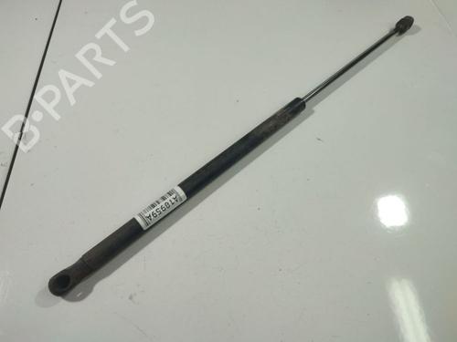 hood-lift-support-ford-focus-c-max-dm2-2003-2004-2005-2006-2007-34871117 main image