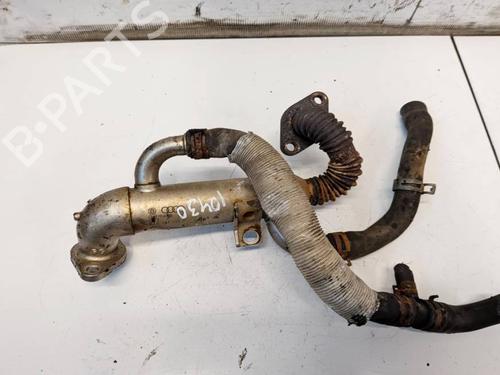 Egr Egr SKODA ROOMSTER (5J7) 1.4 TDI (80 hp) 36687316 36687316