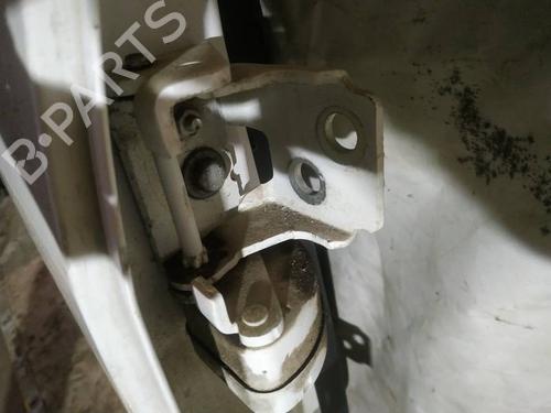 hingedoor-check-strap-citroen-c3-picasso-sh_-2008-32933519 main image