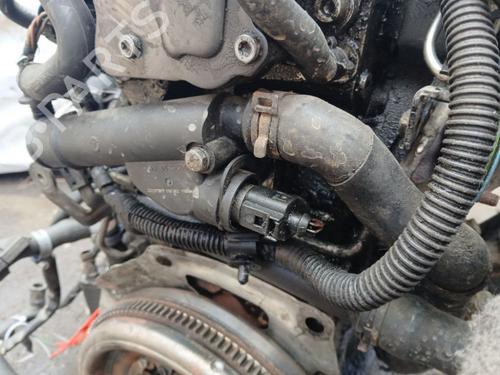 Other VW PASSAT B6 (3C2) 2.0 TDI | BP38609895O1 - Image 2