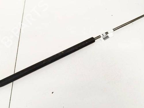 tailgate-lift-support-ford-focus-c-max-dm2-2003-2004-2005-2006-2007-35029159 main image