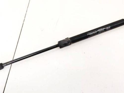 tailgate-lift-support-hyundai-santa-fe-ii-cm-2005-2006-2007-2008-2009-2010-2011-2012-2013-2014-2015-35311480 main image