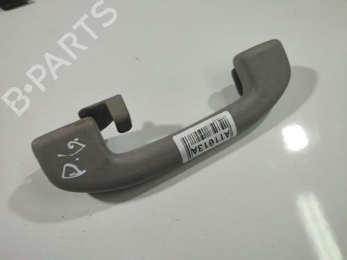 interior-roof-handle-nissan-pathfinder-iii-r51-2005-34870179 main image