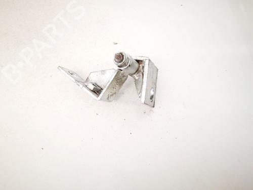 hingedoor-check-strap-tazzari-zero-2010-2011-2012-2013-2014-2015-2016-33071093 main image