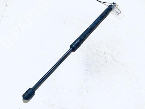 gasdmper-bagklap-renault-megane-iii-hatchback-bz01_-b3_-2008-35874130 main image