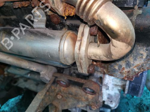 Egr DODGE JOURNEY 2.0 CRD | BP35535160M69 - Image 2