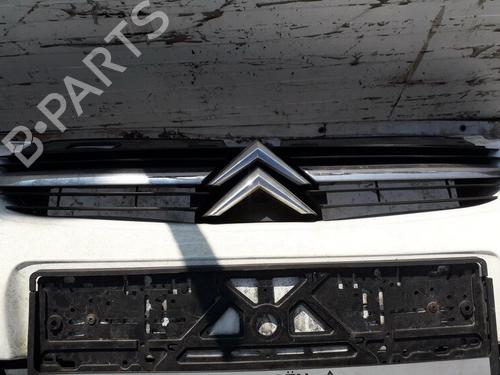 Used Grille Grille 35589803 35589803