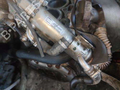 Used Egr Egr 35631313 35631313