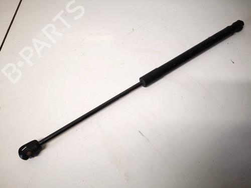 tailgate-lift-support-hyundai-santa-fe-ii-cm-2005-2006-2007-2008-2009-2010-2011-2012-2013-2014-2015-35306927 main image