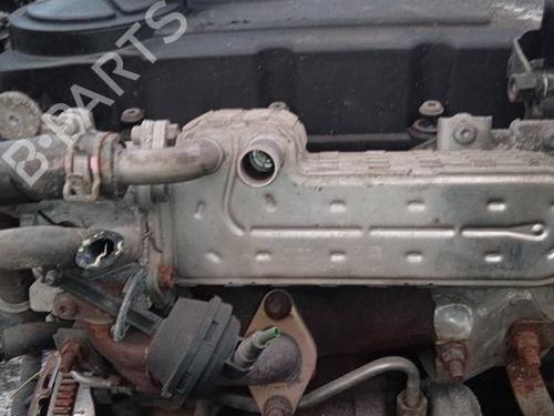 Egr DODGE CALIBER 2.0 CRD | BP35284832M69 - Image 2