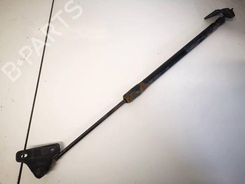 tailgate-lift-support-ford-focus-iii-2010-2011-2012-2013-2014-2015-2016-2017-2018-2019-2020-35308415 main image