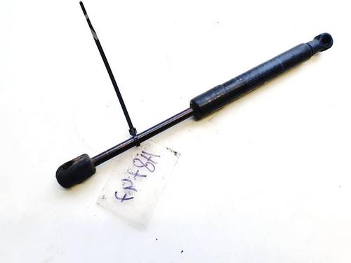 hood-lift-support-renault-scenic-iii-jz01_-2008-2009-2010-2011-2012-2013-2014-2015-2016-35329711 main image