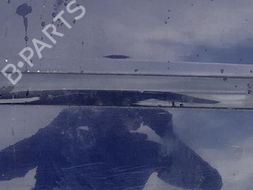 rubber-door-seal-opel-signum-hatchback-z03-2003-2004-2005-2006-2007-2008-35512762 main image