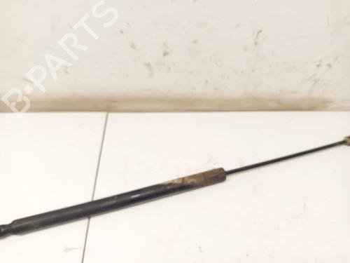 tailgate-lift-support-ford-s-max-wa6-2006-2007-2008-2009-2010-2011-2012-2013-2014-34810497 main image