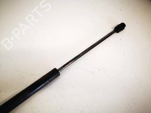 Tailgate lift support DODGE CALIBER 2.0 CRD | BP35041972C138 - Image 3