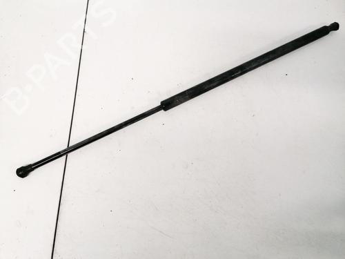 tailgate-lift-support-renault-grand-scenic-ii-jm01_-2004-2005-2006-2007-2008-2009-35557252 main image