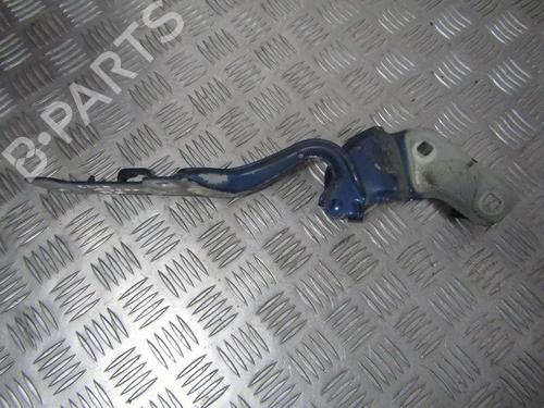 hingedoor-check-strap-renault-clio-iii-br01-cr01-2005-2006-2007-2008-2009-2010-2011-2012-2013-2014-35678839 main image