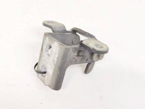 hingedoor-check-strap-opel-insignia-a-saloon-g09-2008-2009-2010-2011-2012-2013-2014-2015-2016-2017-32929142 main image