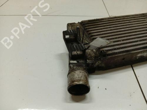 Intercooler RENAULT SCÉNIC II (JM0/1_) 1.9 dCi (JM0G, JM12, JM1G, JM2C) | BP34901042M30 - Image 2