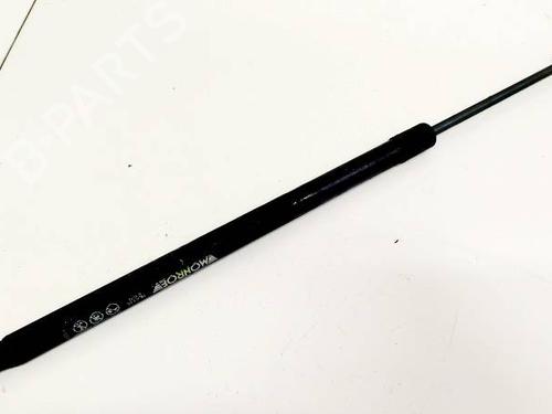 hood-lift-support-jeep-compass-mk49-2006-35153118 main image