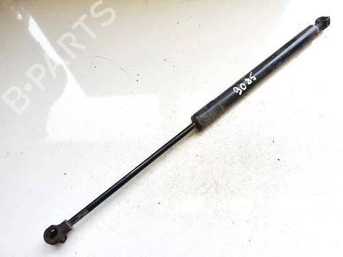 tailgate-lift-support-renault-zoe-bfm_-2012-35071160 main image