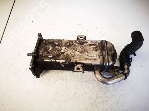 Used Egr Egr 36689791 36689791