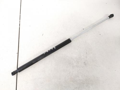 tailgate-lift-support-renault-laguna-ii-bg01_-2001-2002-2003-2004-2005-2006-2007-35563383 main image