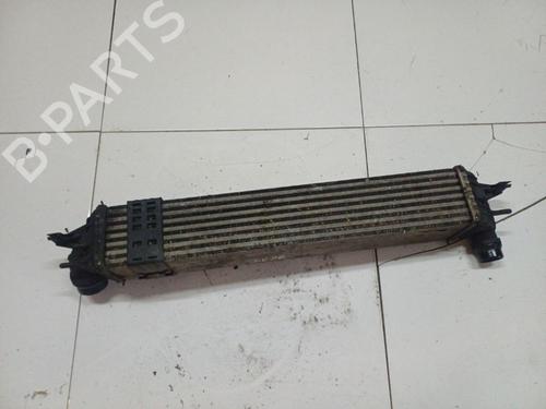 Used Intercooler Intercooler RENAULT LAGUNA III (BT0/1) 2.0 dCi (BT07, BT0J, BT14, BT1A, BT1S) (131 hp) 39420098 39420098