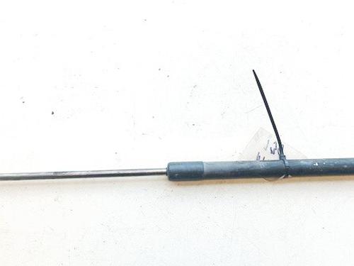 tailgate-lift-support-fiat-punto-evo-199_-2008-35405216 main image
