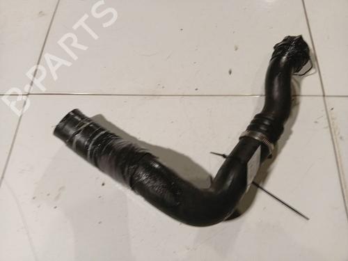 Used Pipe Pipe RENAULT LAGUNA III (BT0/1) 2.0 dCi GT (BT11, BT1E, BT1N) (178 hp) 32541813 32541813
