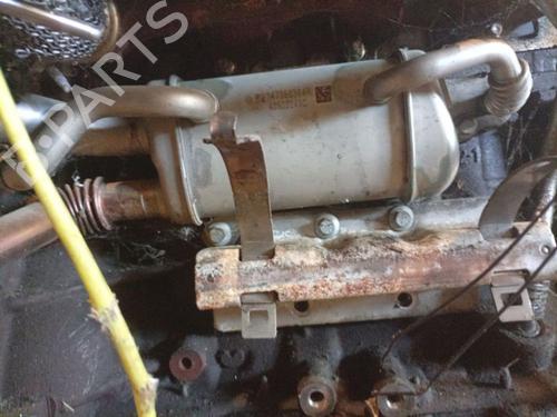 EGR-Ventil EGR-Ventil NISSAN NV200 Van 1.5 dCi 85 (M20, M20N, M20M) (86 hp) 37481207 37481207