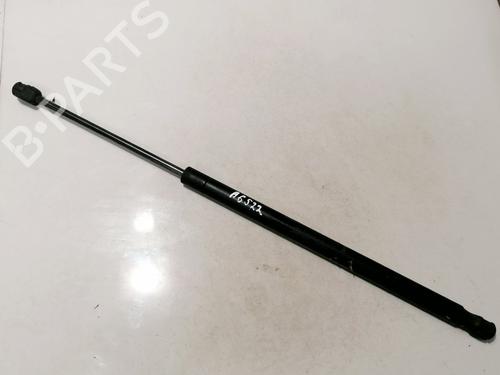 tailgate-lift-support-renault-scenic-ii-jm01_-2003-2004-2005-2006-2007-2008-2009-2010-35577996 main image