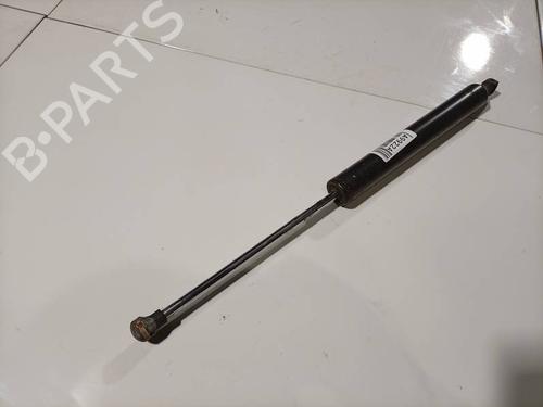 tailgate-lift-support-renault-vel-satis-bj0_-2002-34741884 main image