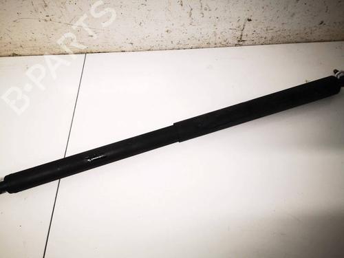 Used Tailgate lift support Tailgate lift support TESLA MODEL Y (5YJY) Long Range All-wheel Drive (514 hp) 34846892 34846892