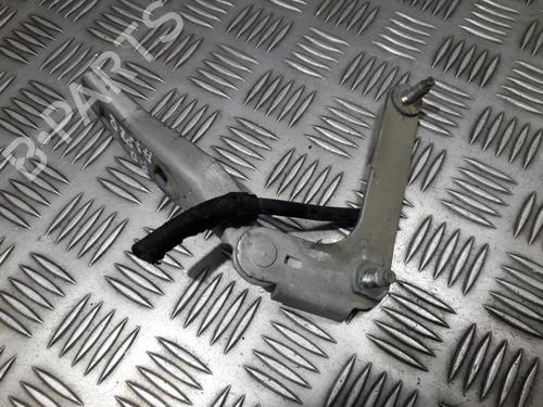 Hinge/Door check strap FORD C-MAX (DM2) 1.8 | BP35707768C146 - Image 2